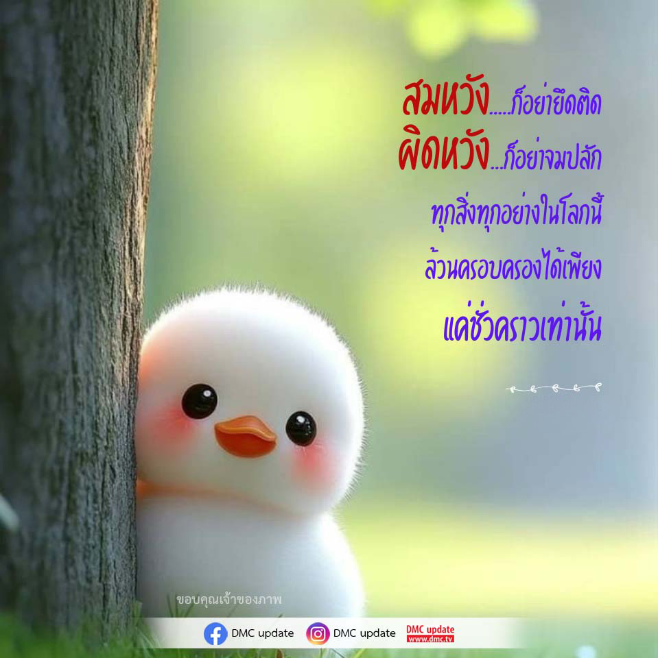 ภาพ No.16256:คติคำคม ข้อคิดสอนใจ