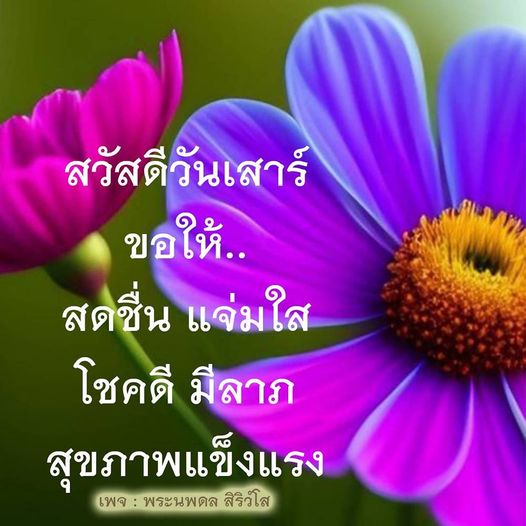 การ์ด No.10825:ภาพสวัสดียามเช้า