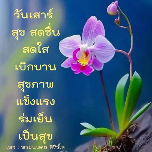 การ์ด No.12415:ภาพสวัสดียามเช้า