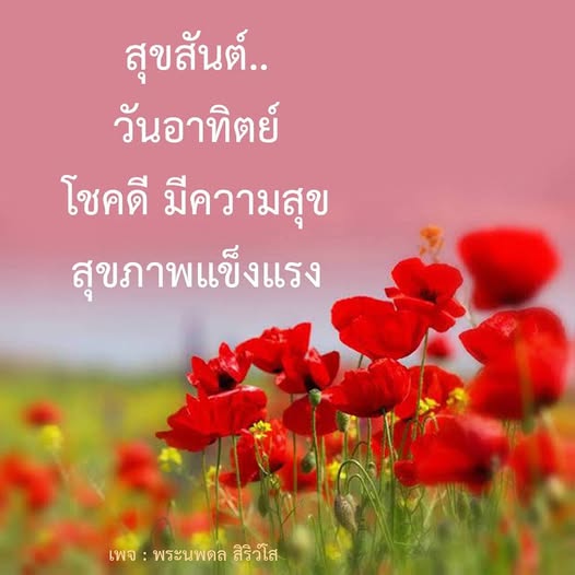 การ์ด No.12430:ภาพสวัสดียามเช้า