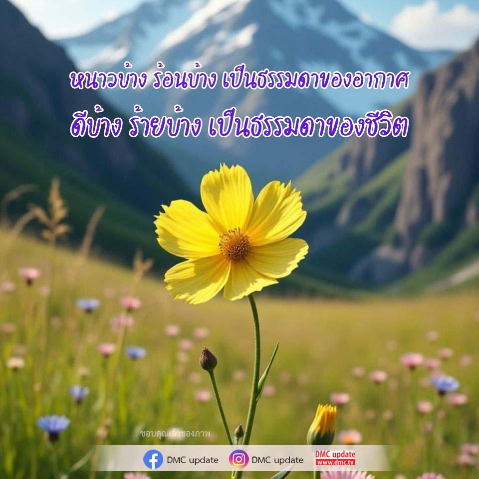 การ์ดคำสอนในพระพุทธศาสนา ทั่วไป