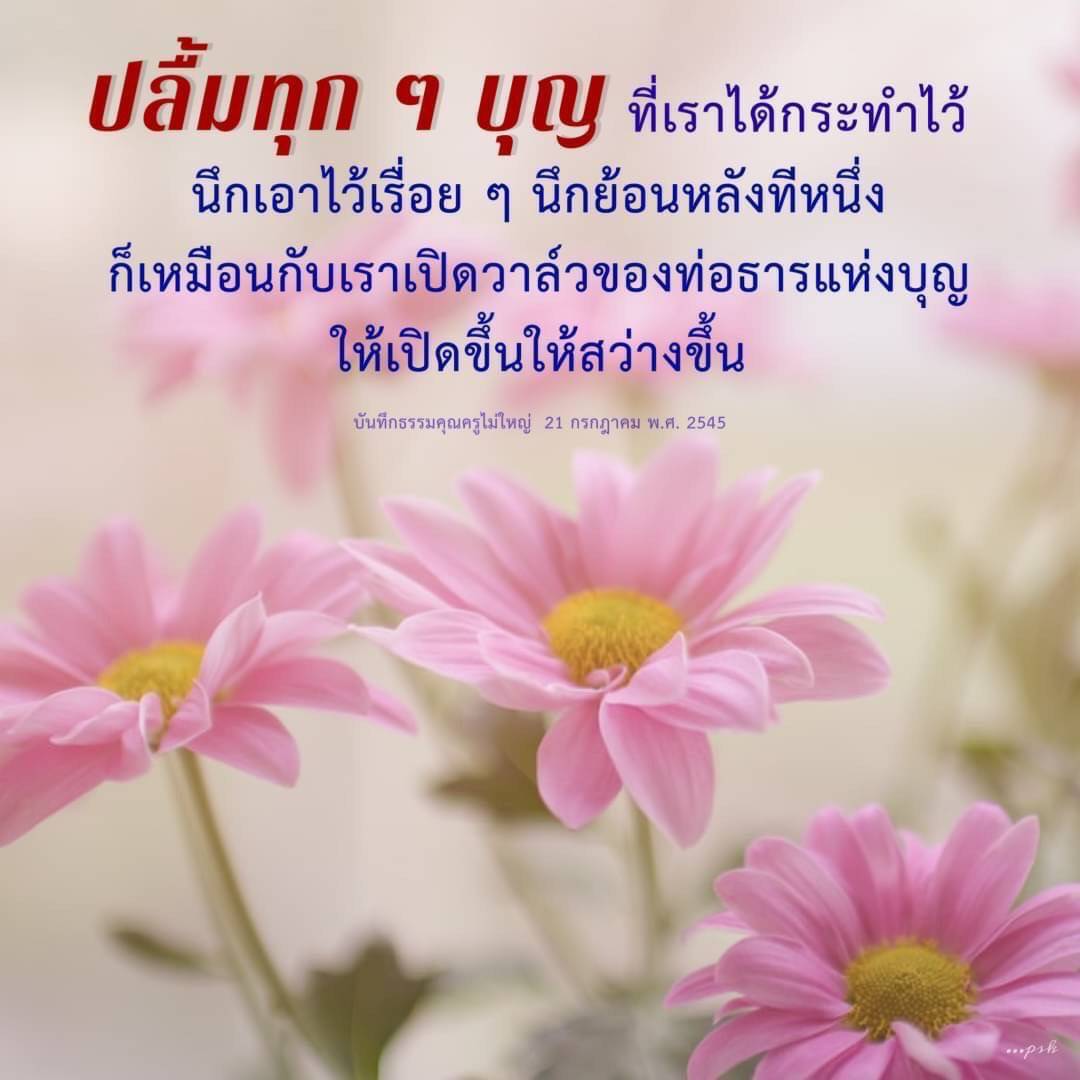 สำรวจความหมายของการทำบุญและความสุขที่เกิดจากการกระทำดีในชีวิตประจำวัน พร้อมเรียนรู้จากคำสอนของคุณครูไม่ใหญ่ เพื่อเปิดวาล์วแห่งบุญให้ชีวิตสว่างไสว