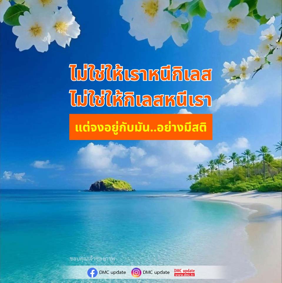 ภาพ No.16699:ทั่วไป