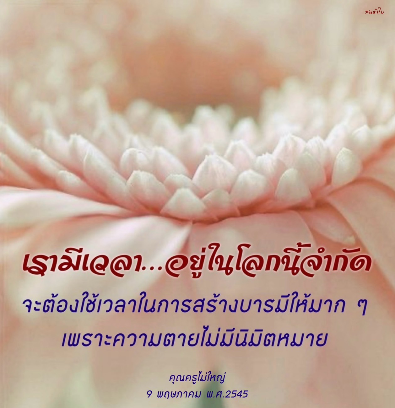 บทความนี้สำรวจความสำคัญของการใช้เวลาในการสร้างบารมีในชีวิต พร้อมทั้งเตือนสติถึงความไม่แน่นอนของความตาย เพื่อให้เราตระหนักถึงการใช้ชีวิตอย่างมีคุณค่าและสร้างคุณประโยชน์ให้กับตนเองและผู้อื่น