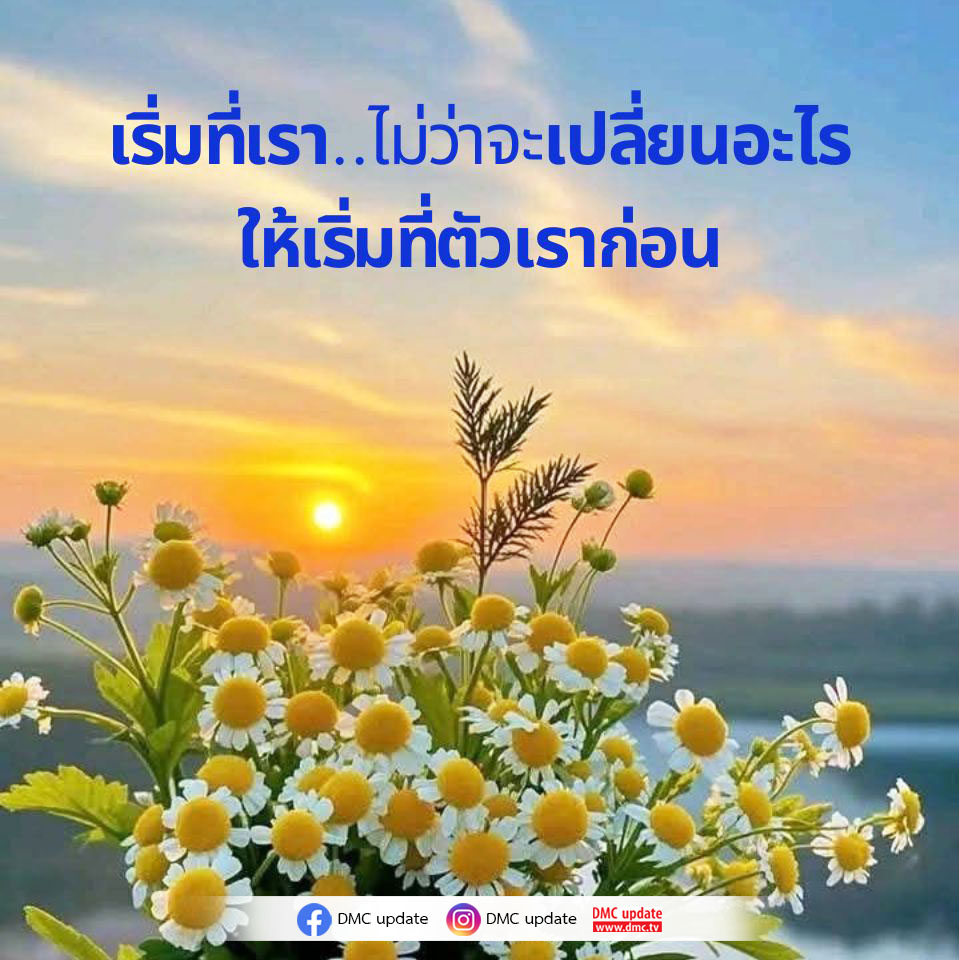 การ์ด No.15408:ทั่วไป