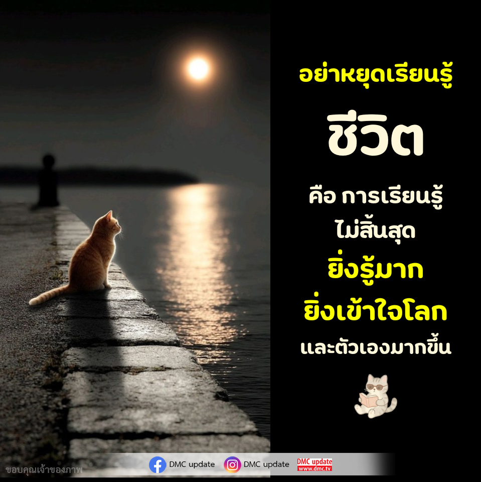 การเรียนรู้ไม่มีที่สิ้นสุด: ยิ่งรู้ ยิ่งเข้าใจโลกและตัวเอง
