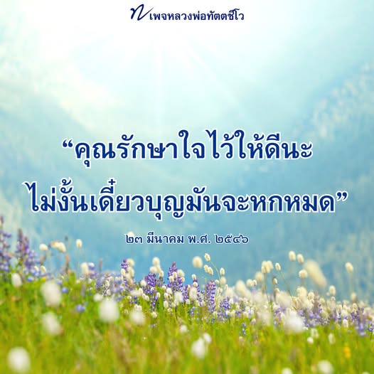 ภาพ No.17690:ทั่วไป