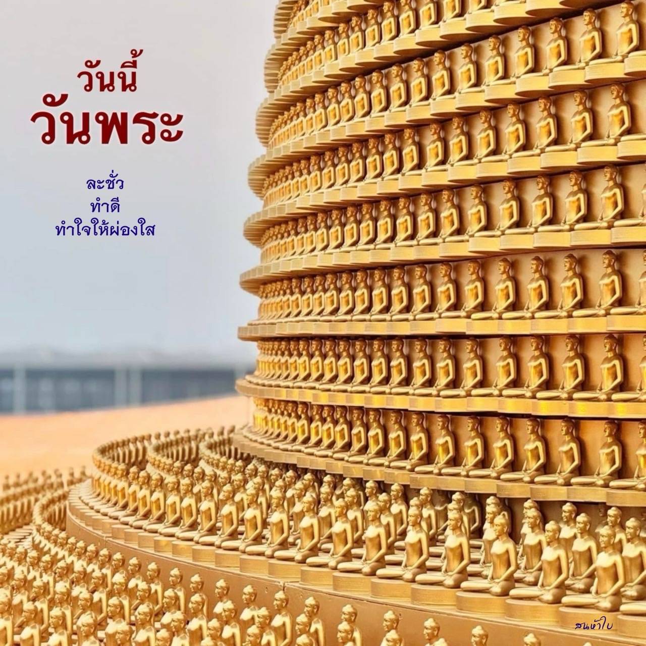 การ์ด No.13695:วันพระ