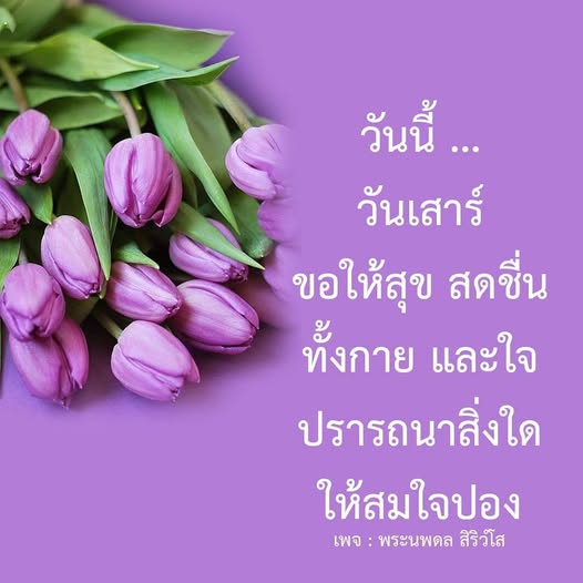 การ์ด No.11806:ภาพสวัสดียามเช้า