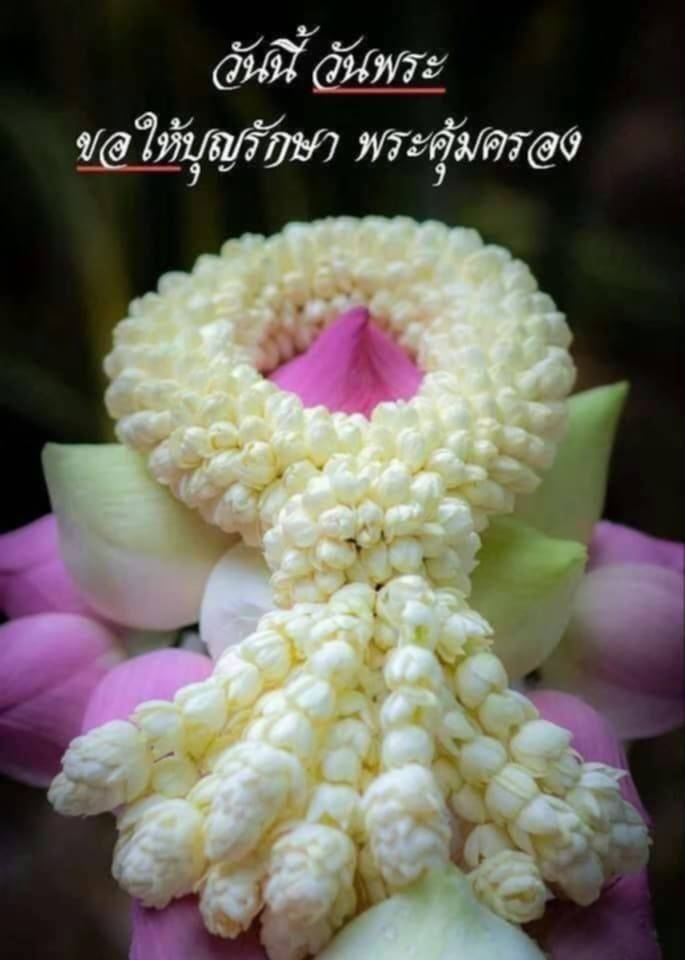 การ์ด No.14955:วันพระ