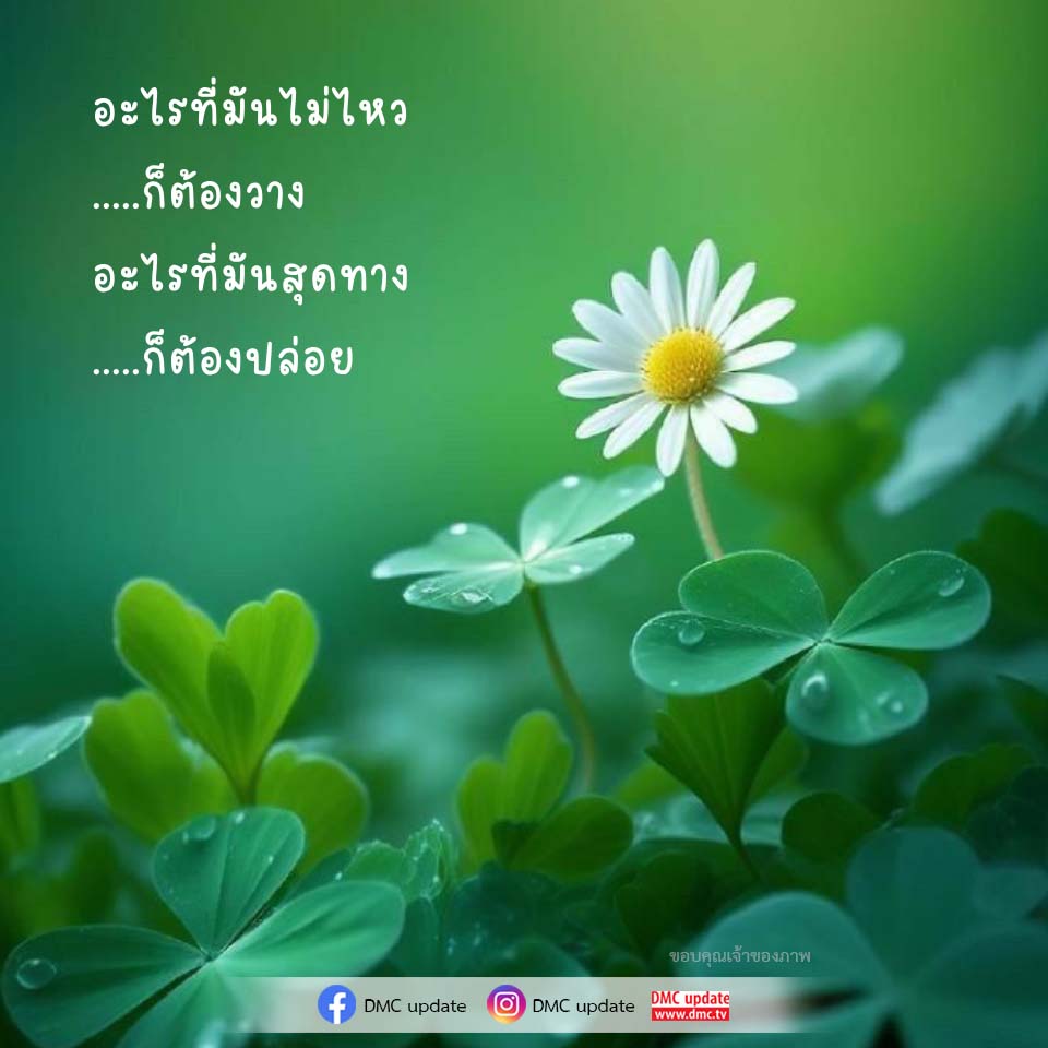 ภาพ No.16508:ทั่วไป