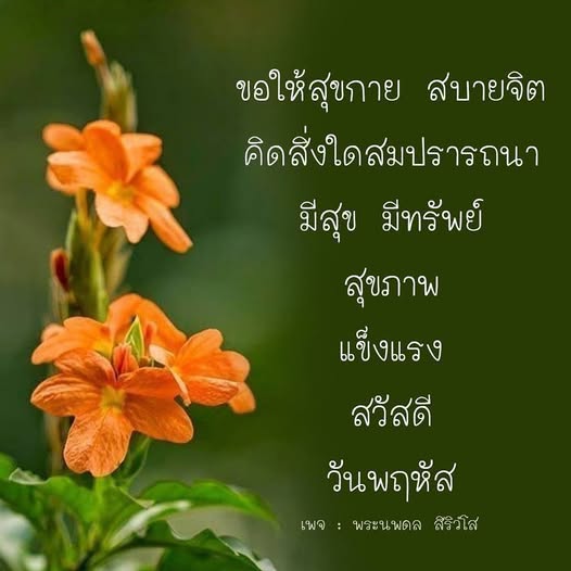เข้าร่วมกับพระนพดล สิริวํโส ในการสร้างสุขกาย สบายจิต พร้อมเสริมสร้างสุขภาพและความแข็งแรงในชีวิตประจำวันของคุณในวันพฤหัสนี้