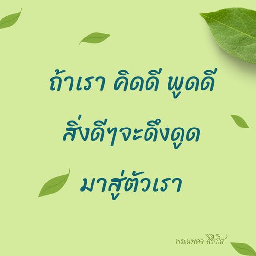 การ์ด No.8951:พระนพดล สิริวํโส