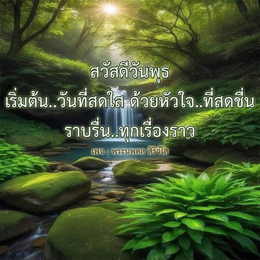 การ์ด No.11732:ภาพสวัสดียามเช้า