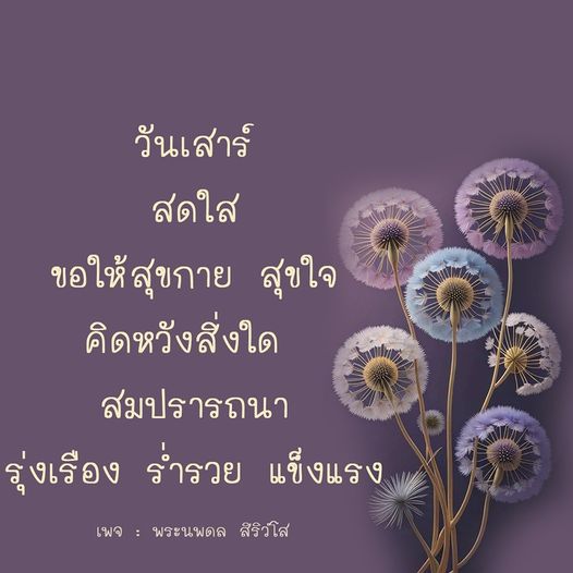 ร่วมเฉลิมฉลองวันเสาร์สดใส พร้อมส่งความสุขกาย สุขใจ และความปรารถนาให้สมหวัง ร่ำรวย แข็งแรง ในเพจพระนพดล สิริวํโส