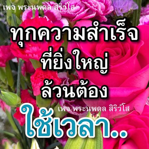 การ์ด No.10480:พระนพดล สิริวํโส