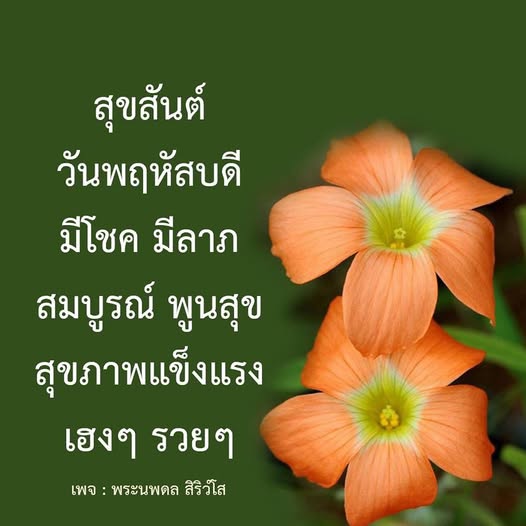 การ์ด No.11753:ภาพสวัสดียามเช้า