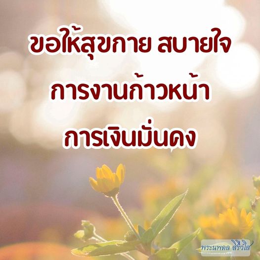การ์ด No.9615:พระนพดล สิริวํโส