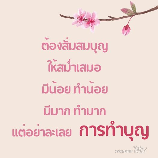 การ์ด No.9619:พระนพดล สิริวํโส