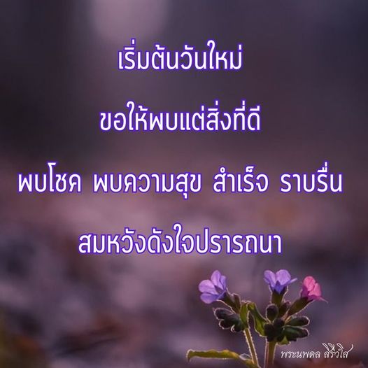 การ์ด No.9534:ภาพสวัสดียามเช้า