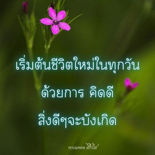 การ์ด No.9389:พระนพดล สิริวํโส
