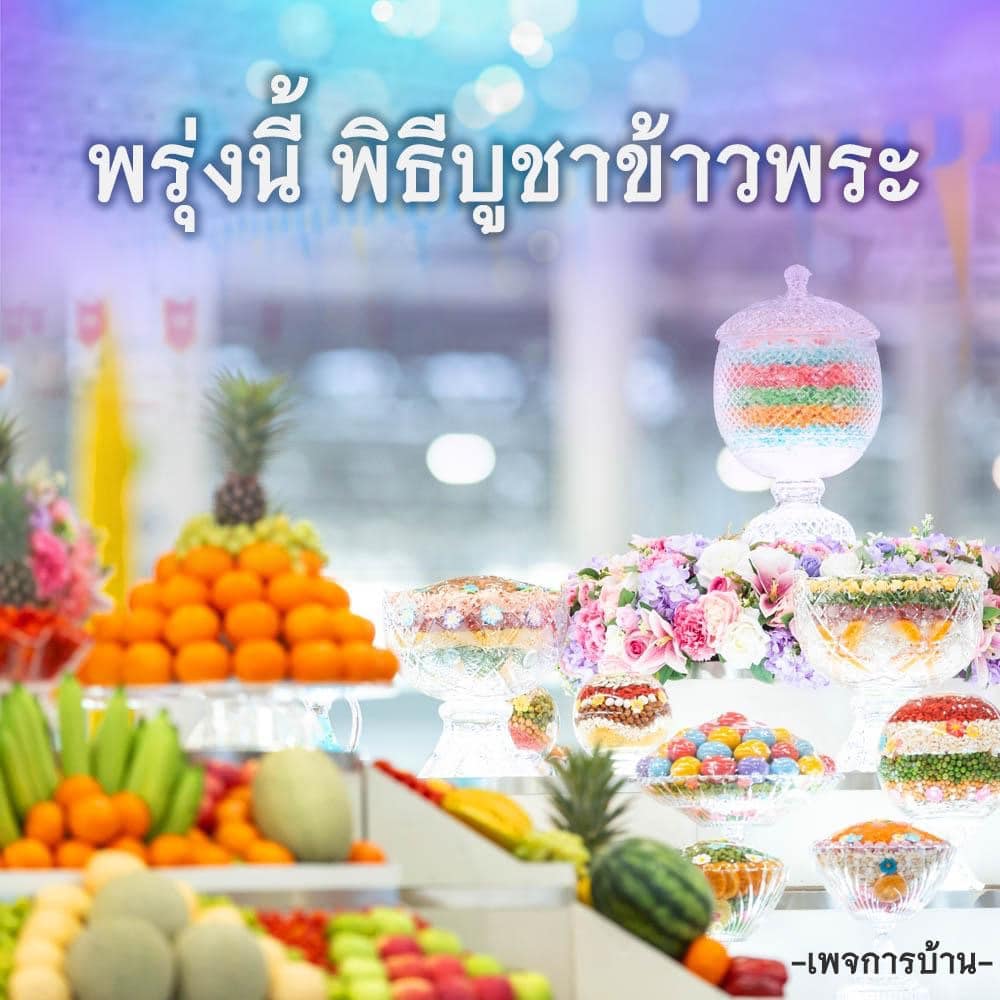 การ์ด No.10175:ทั่วไป