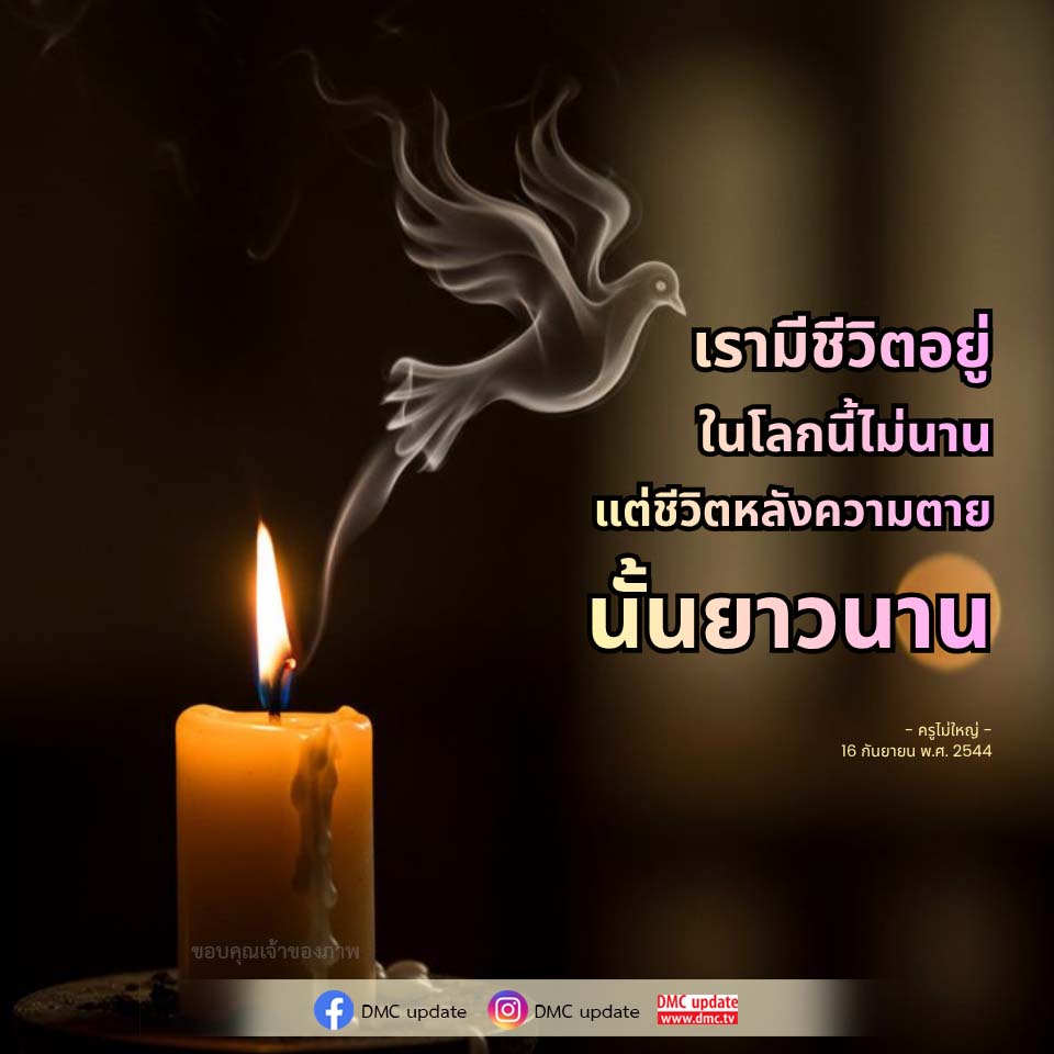 ภาพ No.16636:ทั่วไป