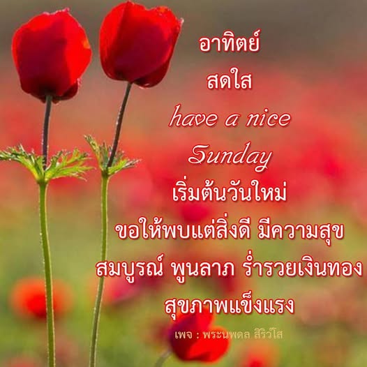 เริ่มต้นวันอาทิตย์ด้วยความสดใสและสิ่งดีๆ ขอให้ทุกคนมีความสุข สมบูรณ์ พูนลาภ ร่ำรวยเงินทอง และสุขภาพแข็งแรง ติดตามเพจ พระนพดล สิริวํโส เพื่อแรงบันดาลใจในวันใหม่ของคุณ