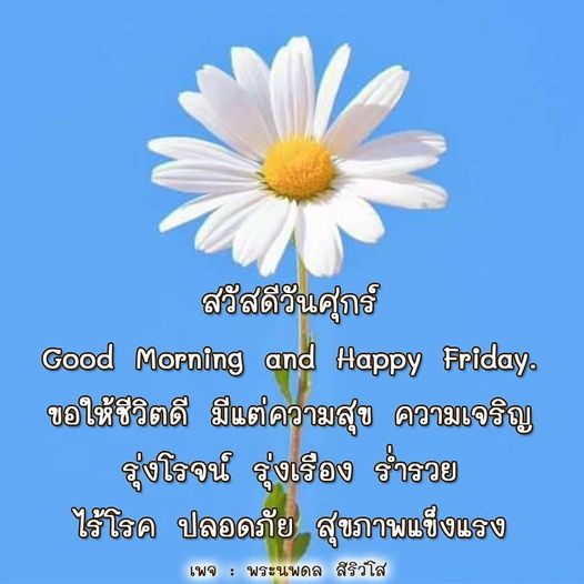 การ์ด No.10616:ภาพสวัสดียามเช้า