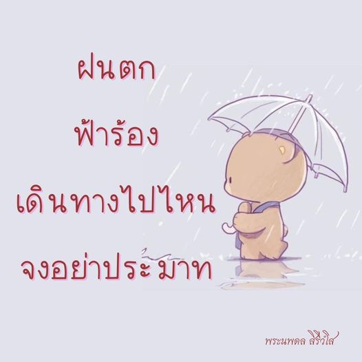 การ์ด No.8444:พระนพดล สิริวํโส