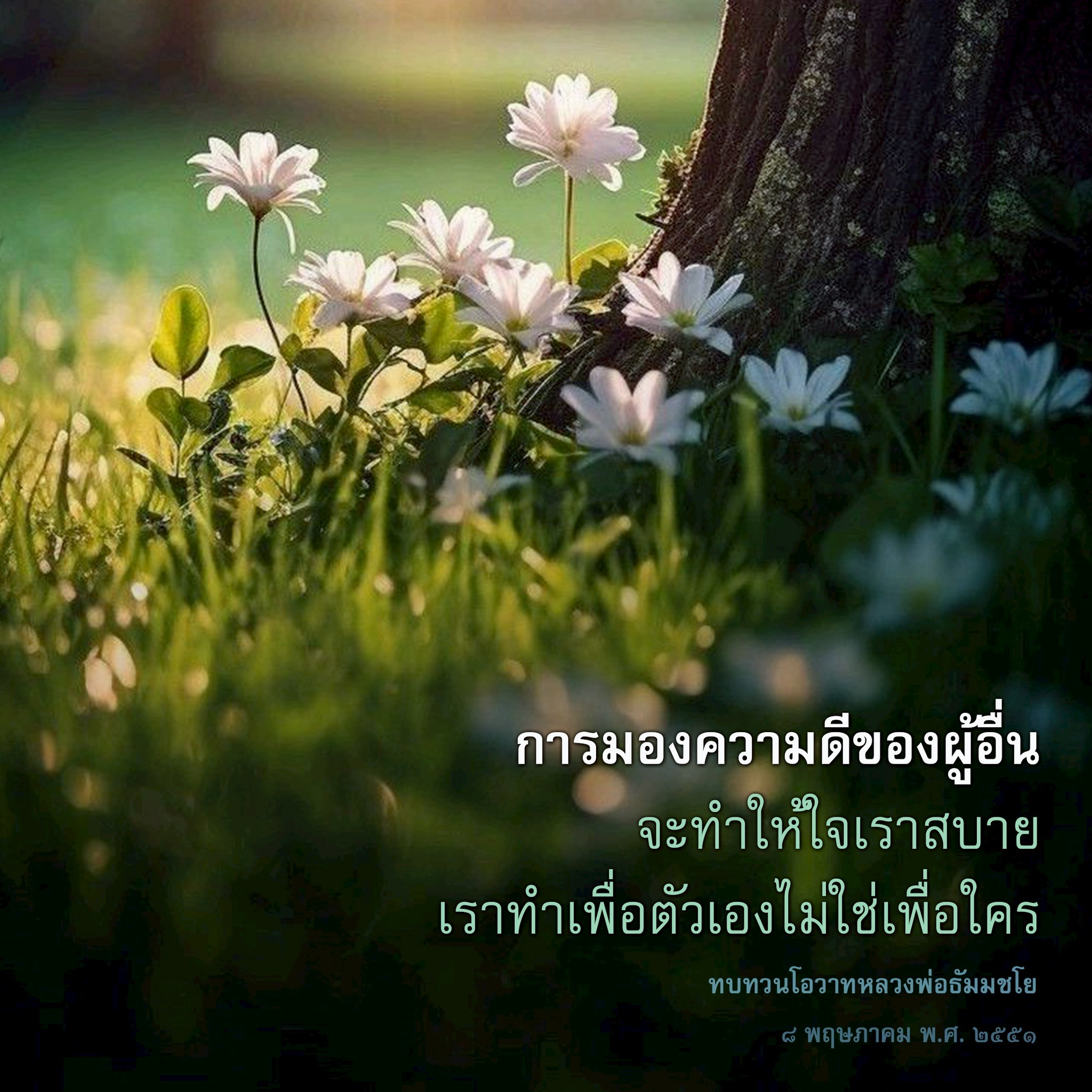 การมองความดีของผู้อื่น: ทำให้ใจเราสบาย
