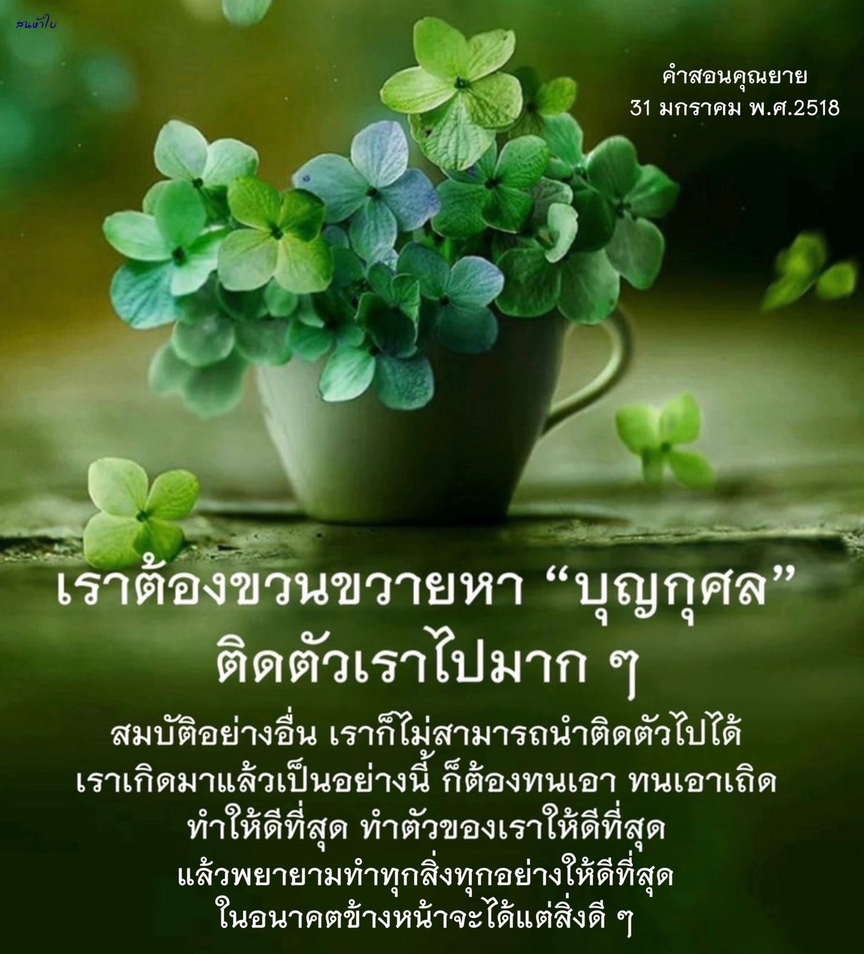 ค่าสอนคุณยายในวันที่ 31 มกราคม พ.ศ.2518 เกี่ยวกับการขวนขวายหาคุณค่าของบุญกุศล และความสำคัญของการทำดีในชีวิต คำคมและคำสอนที่เตือนให้ทำให้ดีที่สุดในทุกสถานการณ์ เพื่อให้ได้แต่สิ่งดี ๆ ในอนาคต