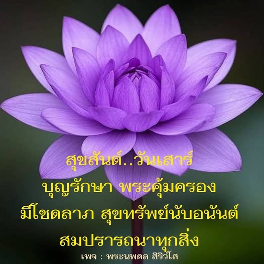 เข้าร่วมกับเราที่เพจ พระนพดล สิริวโส เพื่อรับความสุขและโชคลาภในวันเสาร์ พร้อมคำสอนเกี่ยวกับบุญรักษาและการได้รับพระคุ้มครอง ให้ทุกสิ่งที่คุณปรารถนาเป็นจริง