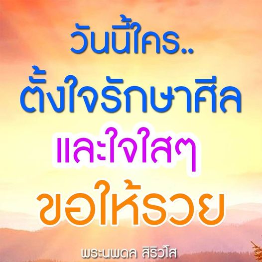 การ์ด No.8794:พระนพดล สิริวํโส
