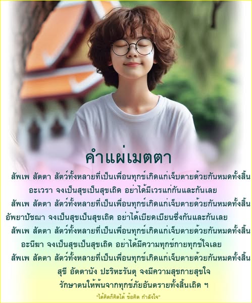 คำแผ่เมตตาเป็นการส่งความปรารถนาดีไปยังสัตว์ทั้งหลาย เพื่อให้พวกเขาได้รับความสุขและพ้นจากทุกข์ภัย คำสอนนี้เน้นถึงความสำคัญของการอยู่ร่วมกันอย่างสงบสุขและการมีเมตตาต่อกัน เพื่อสร้างสังคมที่ดีและมีความสุข