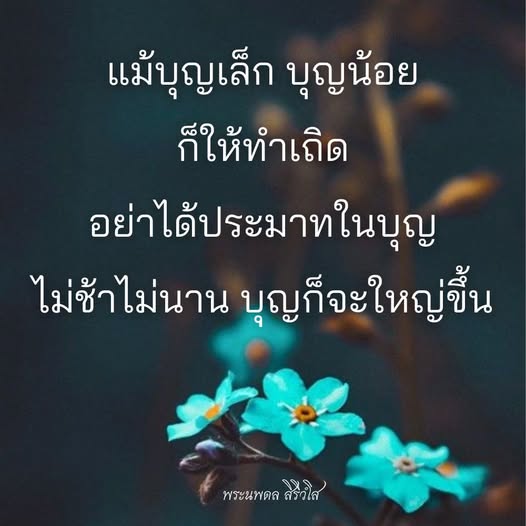 การ์ด No.12024:พระนพดล สิริวํโส