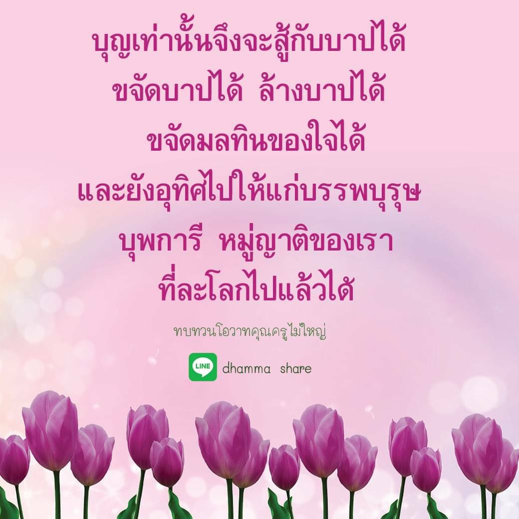 บุญเท่านั้นจึงจะสู้กับบาปได้ พร้อมขจัดบาป ล้างบาป และขจัดมลทินในใจ อีกทั้งยังอุทิศไปให้แก่บรรพบุรุษ บุพการี หมู่ญาติของเรา ที่ละโลกไปแล้ว และทบทวนโอวาทคุณครูไม่ใหญ่ ผ่านช่องทาง LINE Dhamma Share