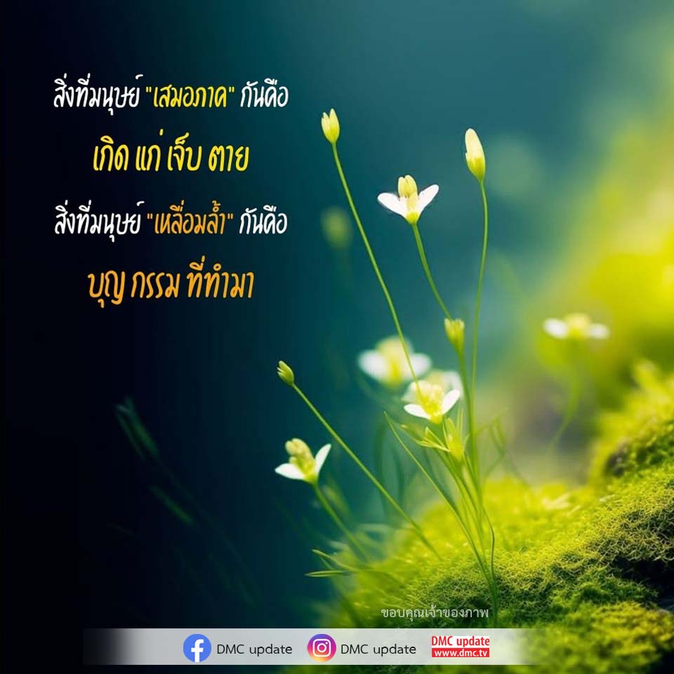 การ์ดคำสอนในพระพุทธศาสนา ทั่วไป