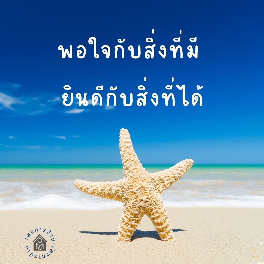 ภาพ No.17608:ทั่วไป