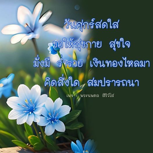 การ์ด No. 8136 : ภาพสวัสดียามเช้า