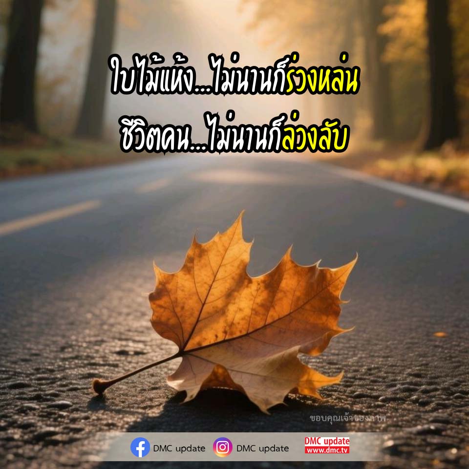 ภาพ No.16506:ทั่วไป