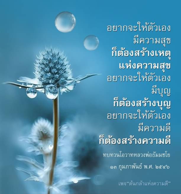 เรียนรู้การสร้างความสุขและบุญจากคำสอนของหลวงพ่อธัมมชโย พร้อมทั้งแนวทางในการทำความดีเพื่อชีวิตที่มีคุณค่า ผ่านเพจต้นกล้าแห่งความดี