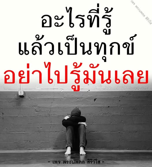 การ์ด No.11858:พระนพดล สิริวํโส