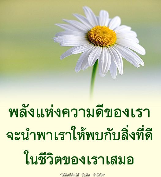 การ์ด No.8275:พระอนันต์ ตโมนุโท