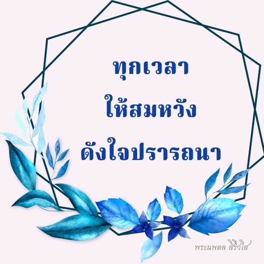 การ์ด No.9879:พระนพดล สิริวํโส