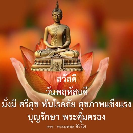 การ์ด No.12866:ภาพสวัสดียามเช้า
