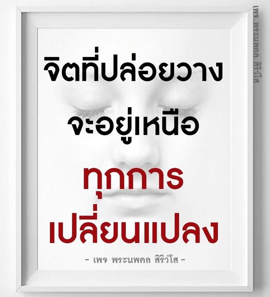 การ์ด No.9131:พระนพดล สิริวํโส