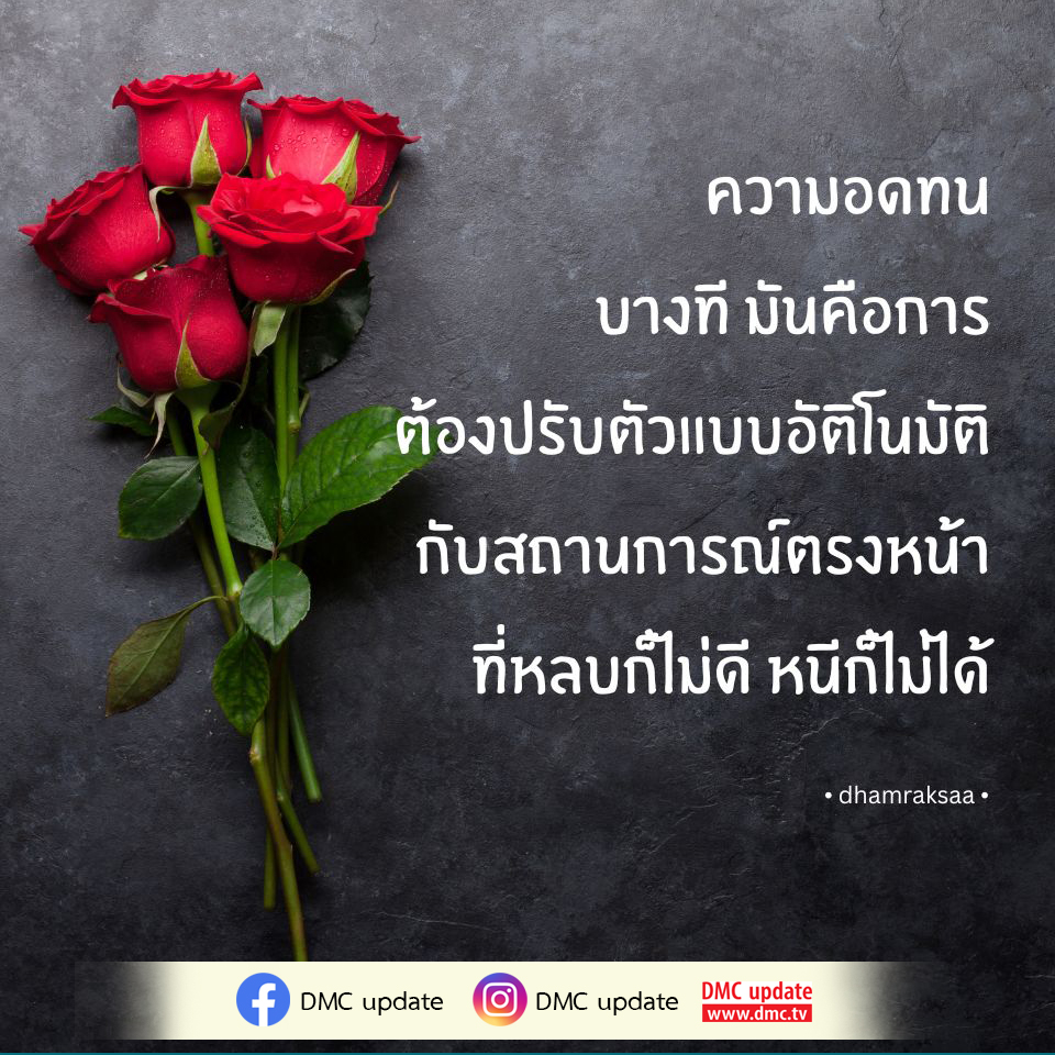 เรียนรู้เกี่ยวกับความอดทนและวิธีการปรับตัวในสถานการณ์ที่ท้าทาย พร้อมคำแนะนำในการจัดการอารมณ์และการเผชิญหน้ากับความยากลำบากที่ไม่สามารถหลบหรือหนีได้ ผ่านมุมมองจาก DMC update.