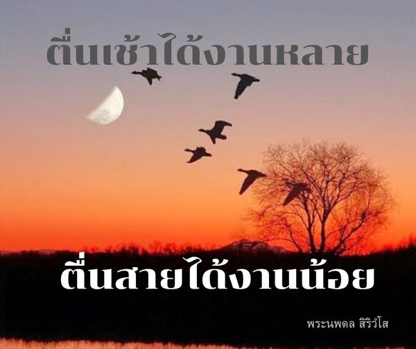 การ์ด No.11350:พระนพดล สิริวํโส