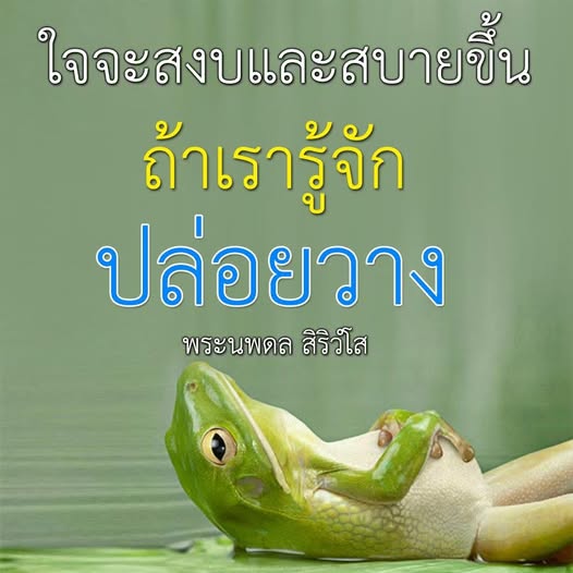 การ์ด No.12066:พระนพดล สิริวํโส